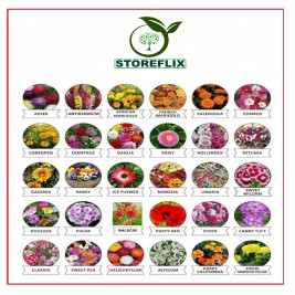 STOREFLIX DIFFERENT MIX VARIETY  30 FLOWER SEEDS MORE THAN 1000+ SEEDS WITH FREE GIFT 100 GM COCOPEAT POTTING SOIL COMBO PACK WITH USER MANUAL FOR INDOOR OUTDOOR HOME AND TERRACE GARDENING USE