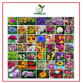 STOREFLIX DIFFERENT MIX VARIETY 45 FLOWER SEEDS MORE THAN 1500+ SEEDS WITH FREE GIFT 150 GM COCOPEAT POTTING SOIL COMBO PACK WITH USER MANUAL FOR INDOOR OUTDOOR HOME AND TERRACE GARDENING USE