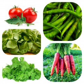 Storeflix All Time 5 type  Vegetable Seeds Kit for Gardening